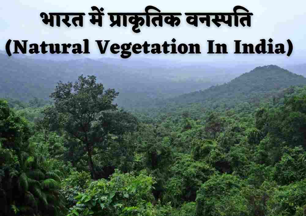 भारत में प्राकृतिक वनस्पति (Natural Vegetation In India)